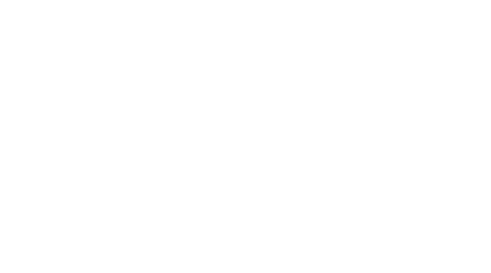 Bink Online Logo wit